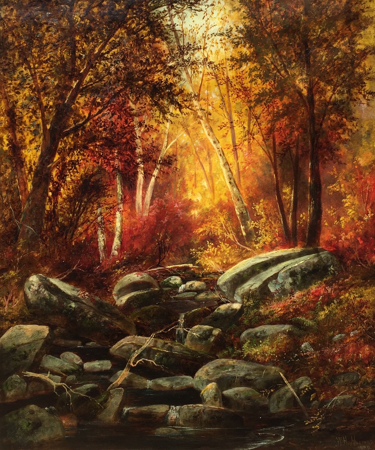 hilliard-autumncolors-cropped