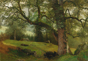 Bierstadt-A Trail through the Trees
