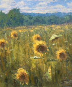 Doloresco-Sunflowers-cropped